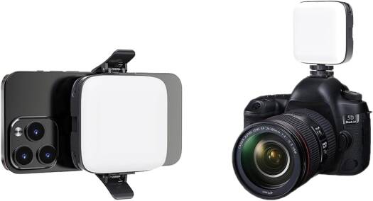 Green Lion Mini Snap Light