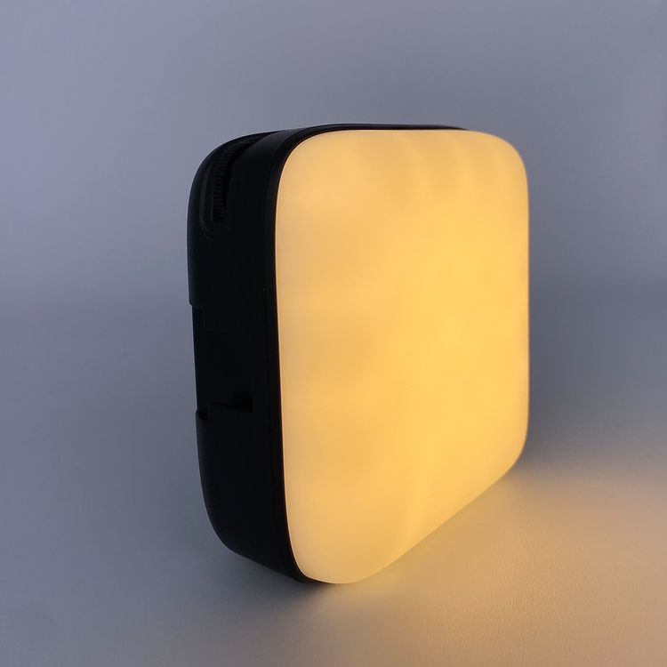 Green Lion Mini Snap Light